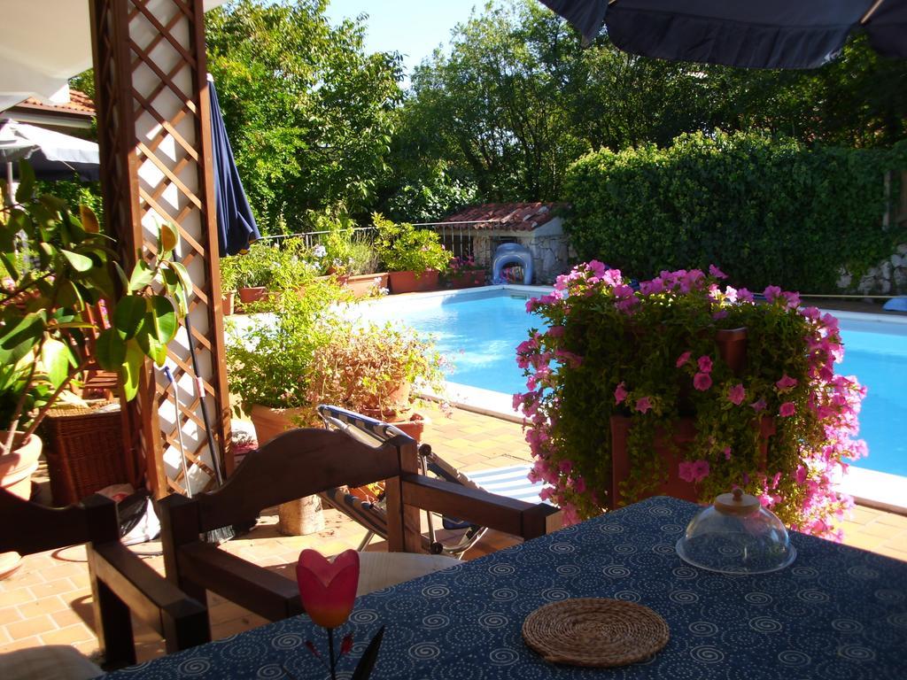 דואינו B&B Pane & Tulipani מראה חיצוני תמונה